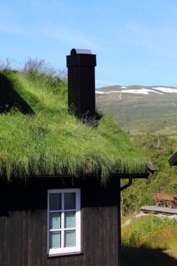 Norveç çim çatılı geleneksel ev. Agder ilçesindeki Setesdalen vadisinde Norveç geleneksel mimarisi.