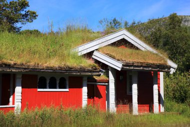 Norveç çim çatılı geleneksel ahşap kulübe. Agder ilçesindeki Setesdalen vadisinde Norveç geleneksel mimarisi.
