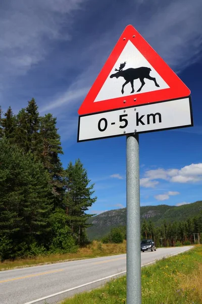 Moose Warning Sign Mountain Road Setesdal Valley Agder County Norway — Stock Photo, Image