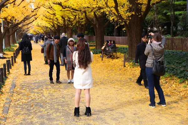 Tokyo Japan Listopad 2016 Ludzie Świętują Jesienne Liście Ginkgo Avenue — Zdjęcie stockowe