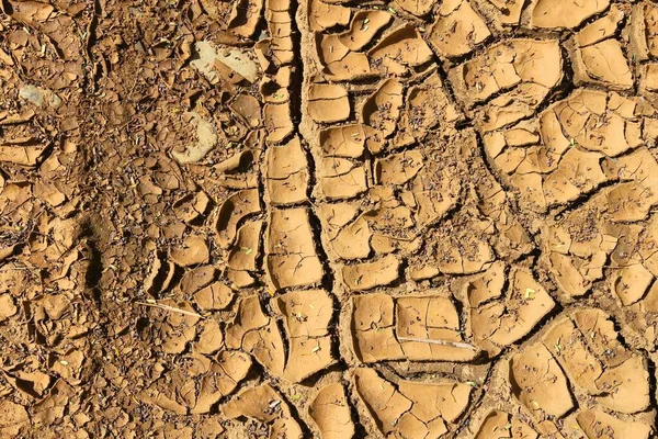Szárított Repedt Föld Trópusi Éghajlat Talaj Textúra Aszály Fogalma — Stock Fotó