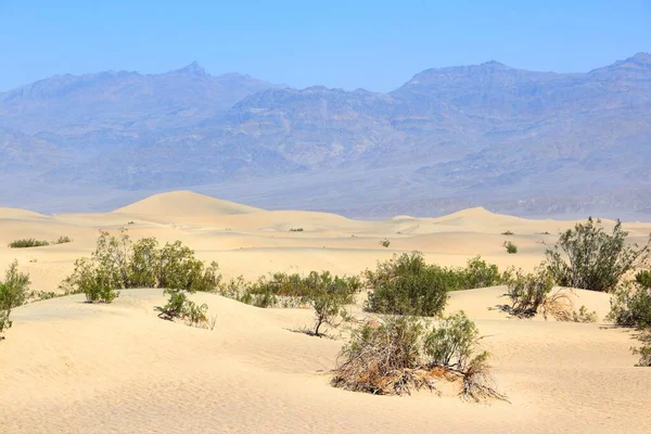 Dolina Śmierci Wydmy Krajobraz Pustynia Mojave Kalifornii Usa — Zdjęcie stockowe