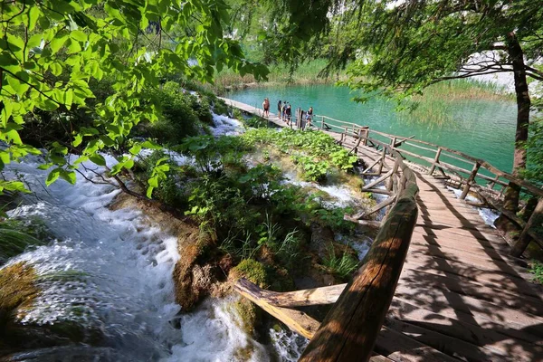 PLITVICE, CROATIA - 15 Haziran 2019: İnsanlar Hırvatistan 'daki Plitvice Lakes Ulusal Parkı' nı (Plitvicka Jezera) ziyaret ediyor. Plitvice, 2017 yılında 1,7 milyon ziyaretçiyle Hırvatistan 'ın en popüler ulusal parkı oldu..