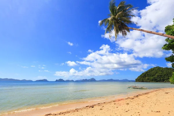 Beautiful Beach Nido Palawan Island Philippines Sandy Beach Leaning Palm — Stock Photo, Image