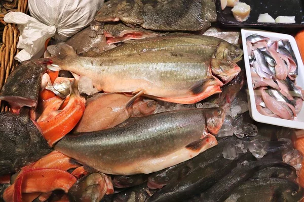 スウェーデン ストックホルムの魚店 ストックホルム中心部の魚市場 新鮮な鮭とニシン — ストック写真