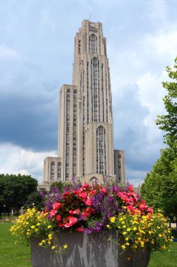 Pittsburgh, ABD - 30 Haziran 2013: Pittsburgh 'da Öğrenim İnşaatı Katedrali. Pittsburgh Üniversitesi 'nin ana binası 535 feet yüksekliğindedir ve Batı Yarımküre' deki en yüksek üniversite binasıdır..