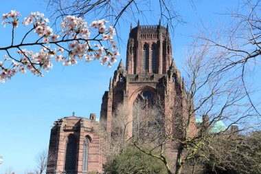 Liverpool - Kuzey Batı İngiltere 'nin Merseyside ilçesinde (İngiltere) şehir. Liverpool Katedrali.