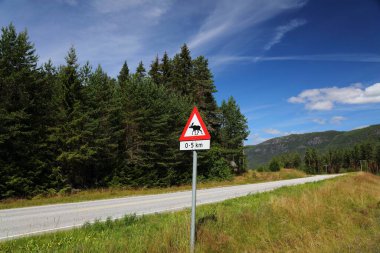Norveç 'in Agder ilçesindeki Setesdal Vadisi' nde bir dağ yolunda geyik uyarısı..