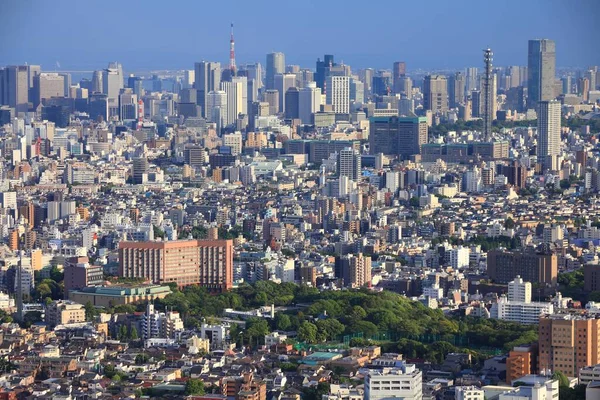 Skyline Tokyo Giappone Guardando Ikebukuro Verso Minato Ward — Foto Stock