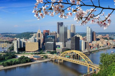 Pittsburgh City, Pennsylvania 'da bahar. Kiraz çiçekleriyle Pittsburgh silueti.