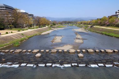 Japonya, Kyoto 'daki Kamo Nehri Parkı. Kamo-gawa olarak da bilinir..