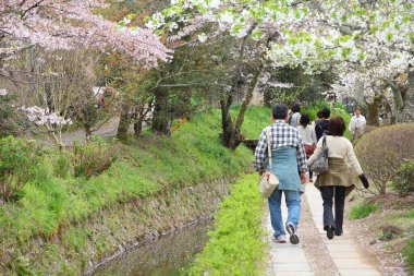 KYOTO, JAPONYA - 16 Nisan 2012: İnsanlar Japonya 'nın Kyoto kentindeki Filozof Yürüyüşü' nü (veya Filozof Yolu) ziyaret eder. Kiraz çiçeği çizgili patika, özellikle Hanami mevsimi için büyük bir Japon turistik cazibesidir..