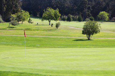 Kaliforniya golf sahası manzaralı. Genel golf sahası yeşil.