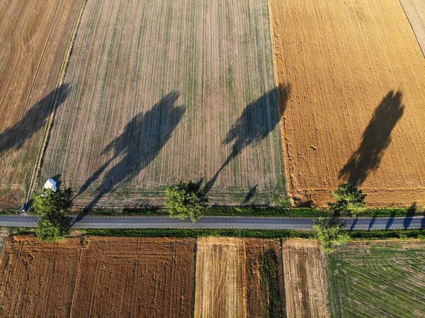 Agriculture landscape in Poland. Harvest time fields view in Lower Silesia (Dolnoslaskie) province. Rural road.