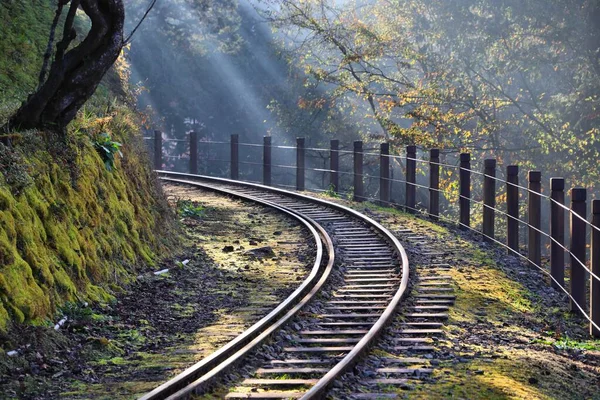 Alishan Forest Railway Taiwán Área Escénica Nacional Alishan — Foto de Stock