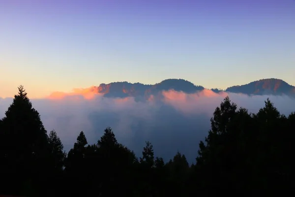 Alishan mountains sunset. Alishan National Scenic Area in Taiwan - beautiful cypress and cedar trees forest.