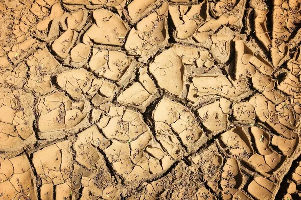 Dry cracked earth - tropical climate soil background. Drought concept.