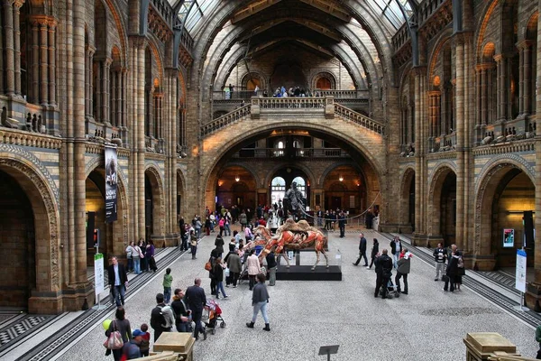 Londýn Května 2012 Přírodovědecké Muzeum Londýně Více Než Milionu Návštěvníků — Stock fotografie