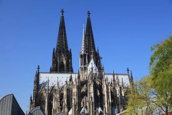 Kölner Wahrzeichen Unesco Weltkulturerbe Deutschland Kölner Dom — Stockfoto