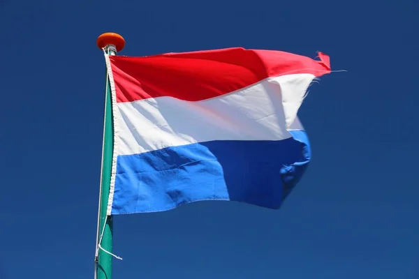 네덜란드 네덜란드의 — 스톡 사진