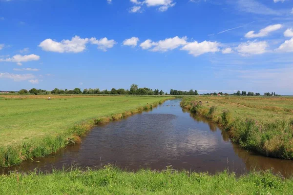 Zandijk的荷兰牧场景观 荷兰的农村人口前景 — 图库照片