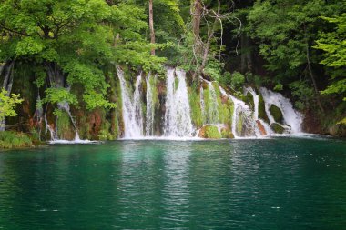 Plitvice Lakes Ulusal Parkı. Hırvatistan şelaleleri muhteşem manzaralar.