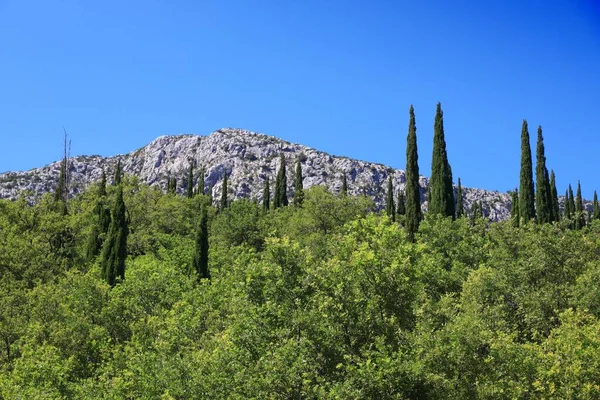 克罗地亚的风景与柏树 科纳维尔的山区景观 — 图库照片