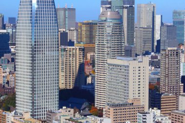 Tokyo silueti. Japonya 'daki Tokyo şehri - Minato ve Atago bölgeleriyle şehir manzarası.