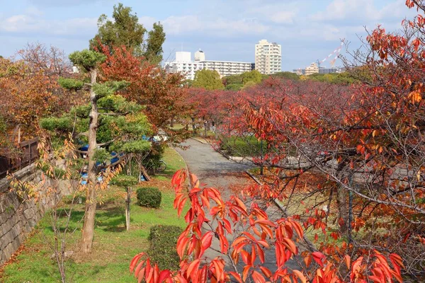 Осакский Осенний Парк River Sakura Trees Red Foliage — стоковое фото