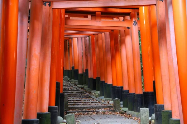 Kyoto Japan November 2016 Torii Gates Fushimi Inari Taisha Shrine — Stock Photo, Image