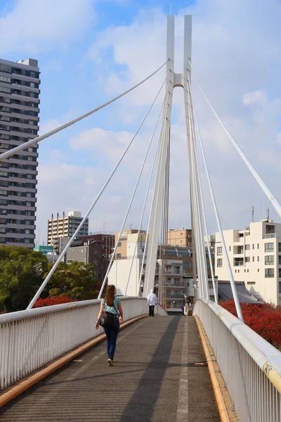 Osaka Japan November 2016 Mensen Steken Moderne Kawasaki Voetgangersbrug Rivier — Stockfoto