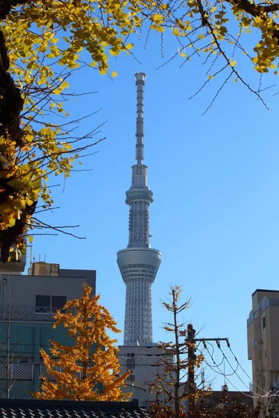 Tokyo Japan December 2016 Skytree Tower Tokyo Japan Den 634M - Stock-foto