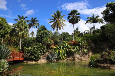 Guadeloupe - Karayip tatil beldesi. Deshaies 'deki Botanik Bahçesi.