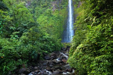 Guadeloupe Karayip adasında şelale. Carbet Şelalesi, Guadeloupe Ulusal Parkı 'nda şelale. Doğal mucize..