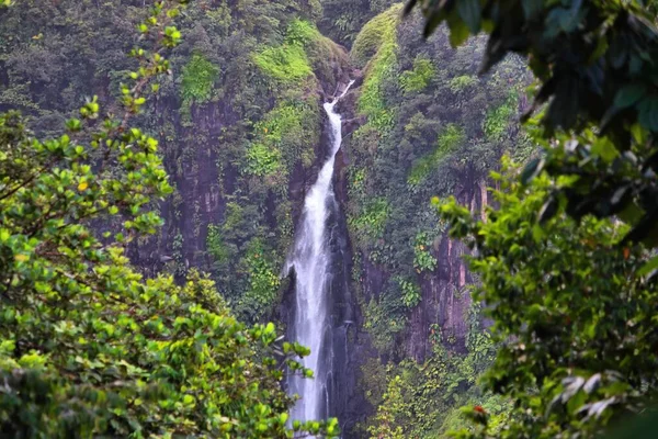 Guadeloupe Karayip Adasında Şelale Carbet Parkı Guadeloupe Ulusal Parkı Nda — Stok fotoğraf