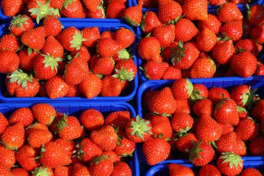 Almanya, Dortmund 'da bir gıda pazarında çilek arkaplanı.