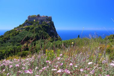 Korfu adası manzarası, Angelokastro kalesi. Bizans kalesi. Ön plandaki çiçeklere odaklan. Convolvulus althaeoides (mallow bindweed)