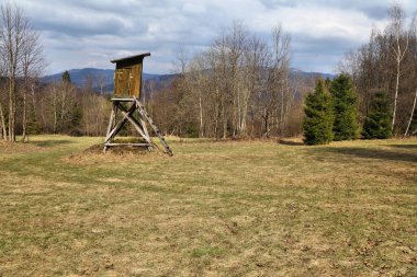 Polonya 'daki Zywiec Beskids (Beskid Zywiecki) dağlarındaki bir orman açıklığında avcılık kürsüsü. Silezya bölgesi doğası.