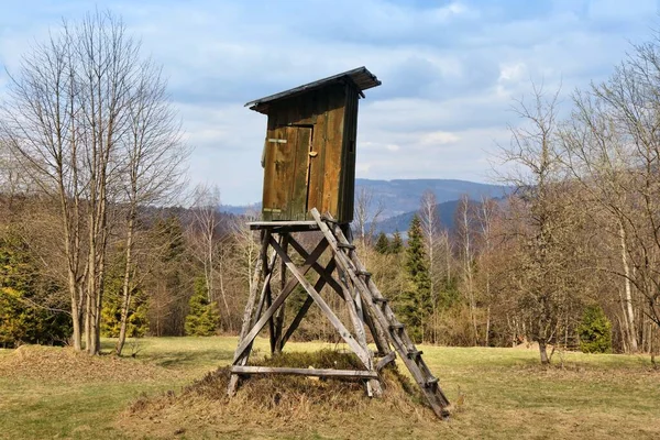 Vadászat Szószéki Szerkezet Egy Erdei Tisztáson Zywiec Beskids Beskid Zywiecki — Stock Fotó