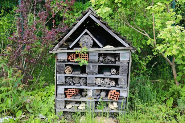 Insektenhotel Einem Botanischen Garten Refugium Für Insekten Zum Winterschlaf — Stockfoto