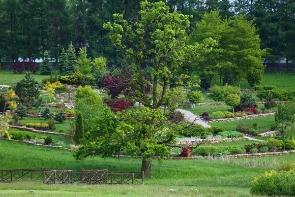 Paisagem Jardim Botânico Público Jardim Botânico Silesiano Mikolow Polonia — Fotografia de Stock