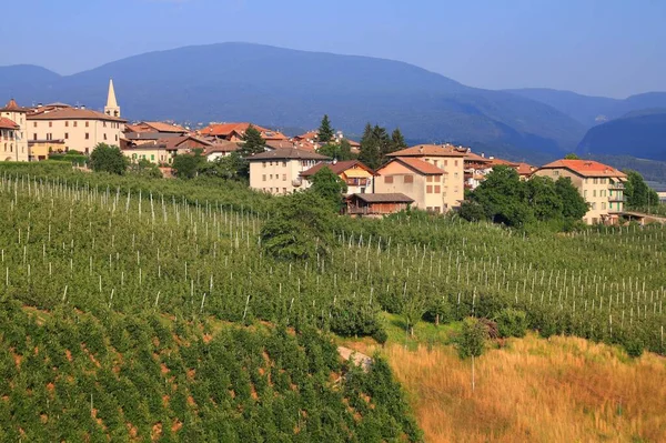 Revo Byen Val Non Dalen Provinsen Trentino South Tirol Italia – stockfoto