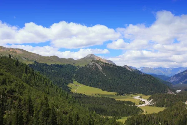 Parque Nacional Suíço Paisagem Vista Dos Alpes Zernez Suíça — Fotografia de Stock