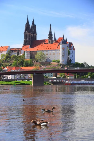 Meissen Óvárosa Németországban Szászország Albrechtsburg Vára Elba Folyó Felett — Stock Fotó