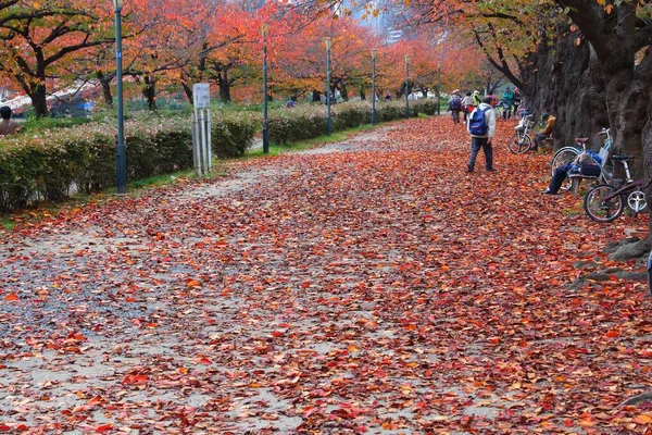 Osaka Japan November 2016 People Visit Autumn Leaves Minami Temma — Stock Photo, Image