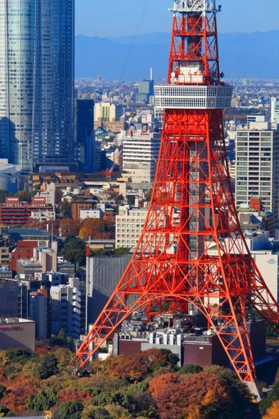 Tokyo Japan December 2016 Cityscape View Tokyo Tower Токіо Столиця — стокове фото