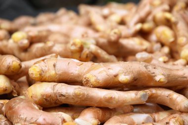 Tayvan 'da zencefil kökleri kurutmak. Yerel yetiştirilmiş organik kızıl..