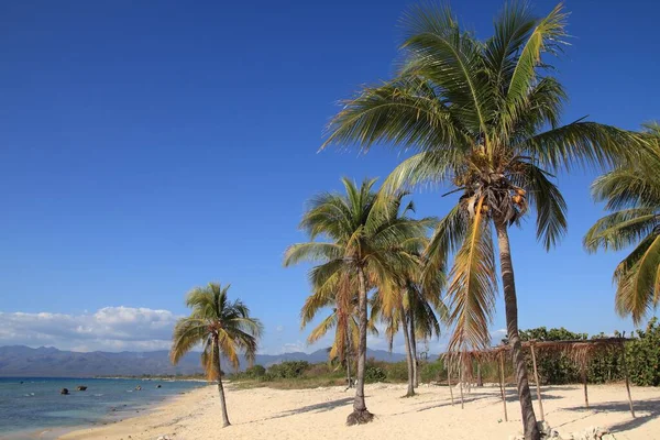 Paisaje Playa Cuba Palmeras Ancon Beach Trinidad — Foto de Stock