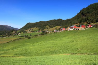 Norveç 'teki tarlalar ve otlaklar. Sunnfjord Belediyesi (Vestland İlçesi) Tarım Bölgesi).
