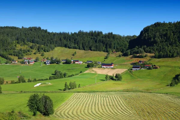 Grunty Rolne Pastwiska Norwegii Powierzchnia Użytków Rolnych Regionie Gminy Sunnfjord — Zdjęcie stockowe